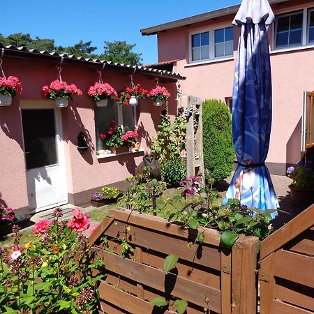 Ferienwohnung Duehne Ostseebad Kühlungsborn Buitenkant foto